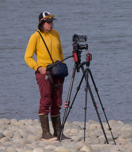 bouncing-pika-watching-photographer-on-riverbank-with-camera