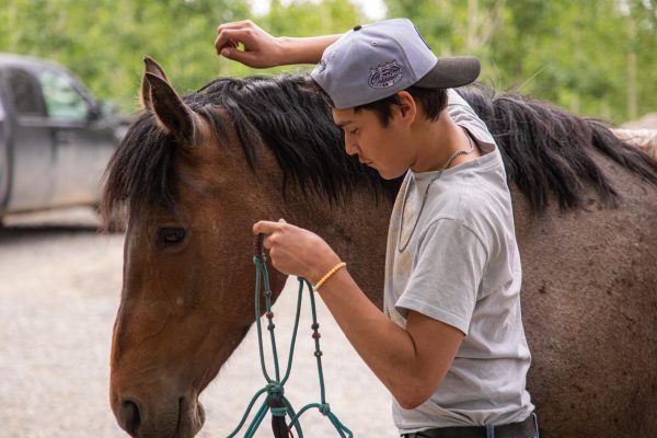 bouncing-pika-boy-grooming-horse-in-outdoor-setting