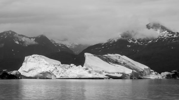 bouncing-pika-in-the-iceberg-filled-landscape-black-and-white